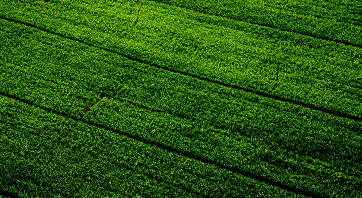 Szántóföldi terület precíziós gazdálkodási nyomvonalakkal, digitális mezőgazdasági megoldások támogatásával.