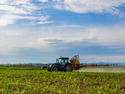 Traktor kukoricaföldön permetezés közben – elektronikus gazdálkodási napló (eGN) és precíziós mezőgazdaság támogatásával.