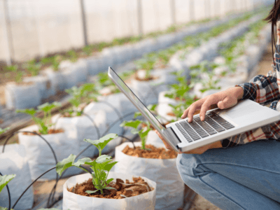 Fiatal nő laptopot használ üvegházban a növények fejlődésének nyomon követésére.