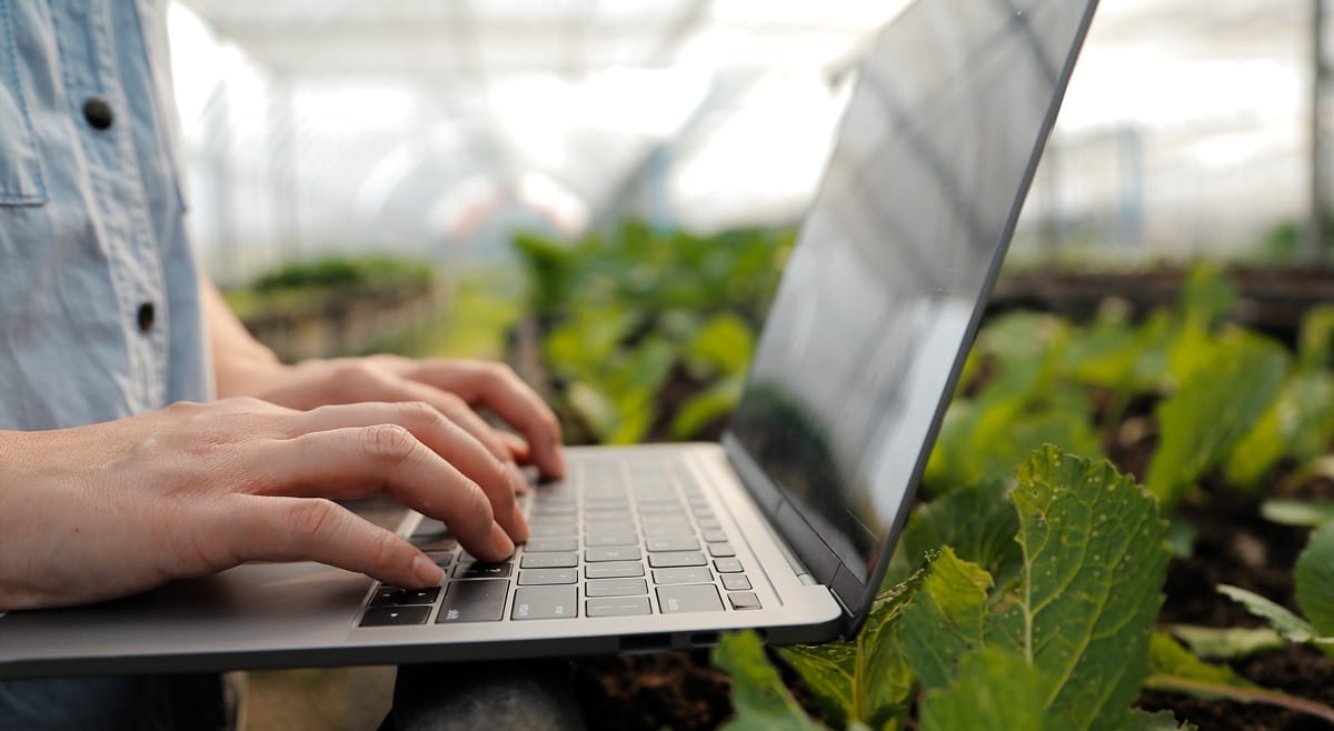 Digitális gazdálkodási napló vezetése laptopon egy üvegházban, precíziós mezőgazdasági adatelemzéssel.