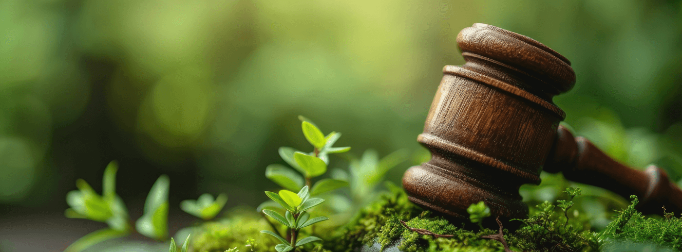 Bírói kalapács és zöld növények szimbolikus természetes környezetben, a mezőgazdasági jogszabályi megfelelés jelképeként.