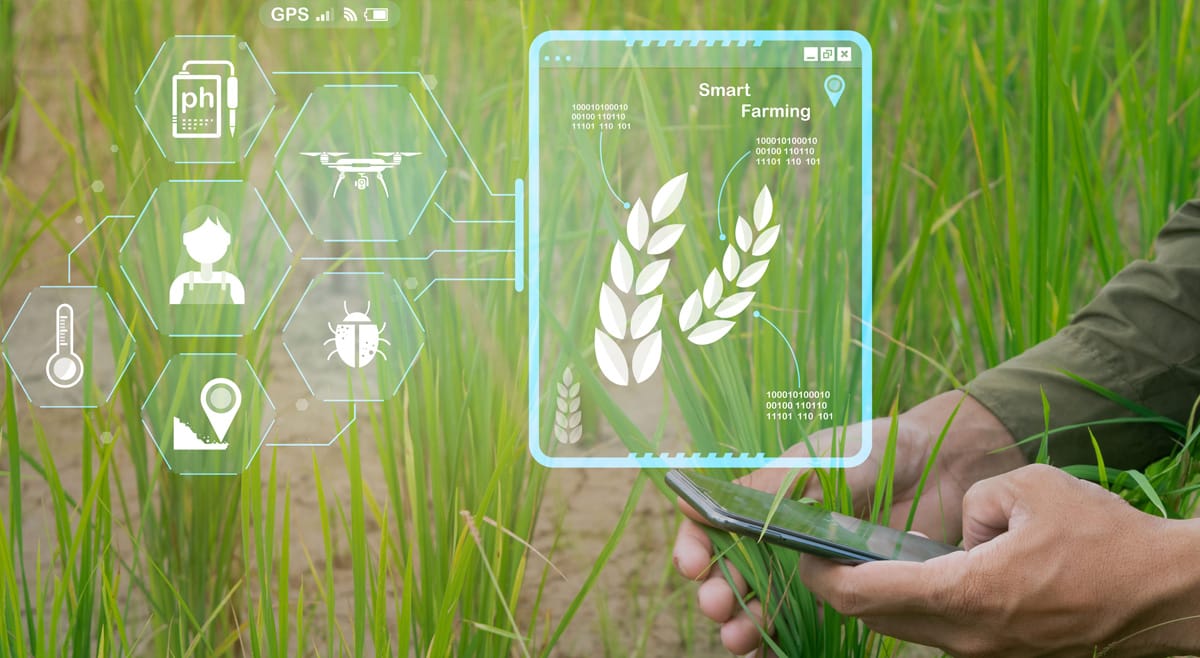 Precíziós gazdálkodási rendszer digitális kijelzőn, amely adatokat gyűjt a termelés optimalizálásához.