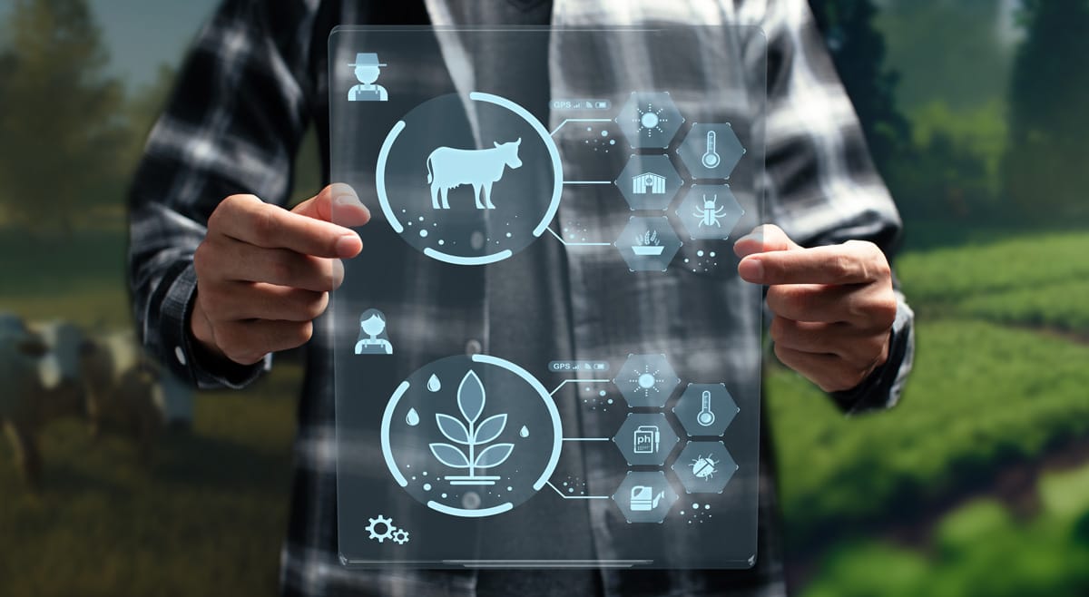 Digitális farmmenedzsment rendszer átlátszó kijelzőn, növénytermesztési és állattartási adatokkal.